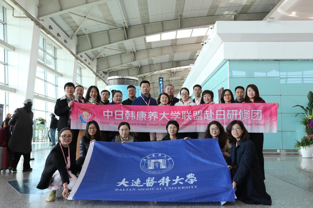 我校教师团队顺利完成“产教融合模式下培养应用型康养人才培训项目”出...