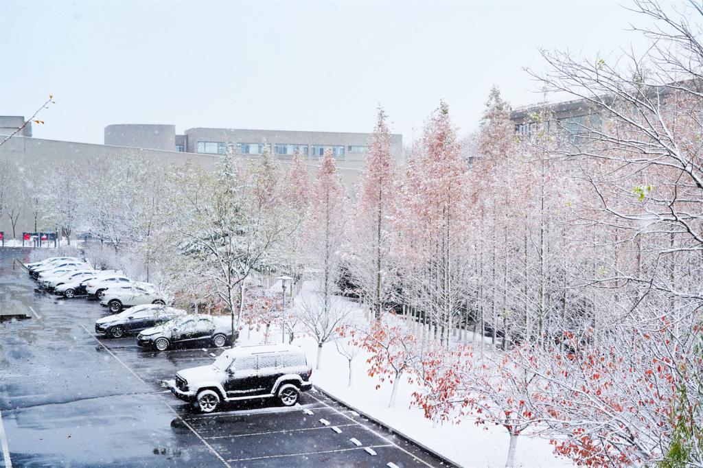 雪中大医