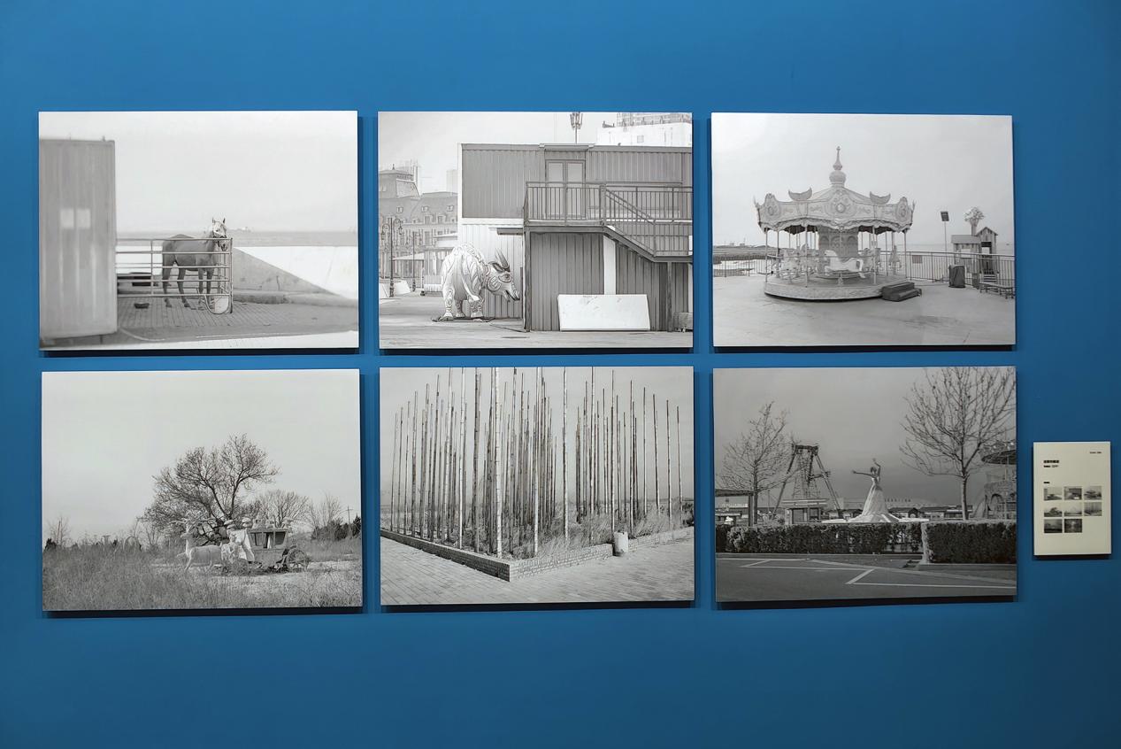 我校艺术学院教师作品入选第30届全国摄影艺术展